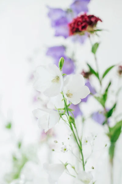 Vadvirágok Nyári Csokor Lila Harangok — Stock Fotó