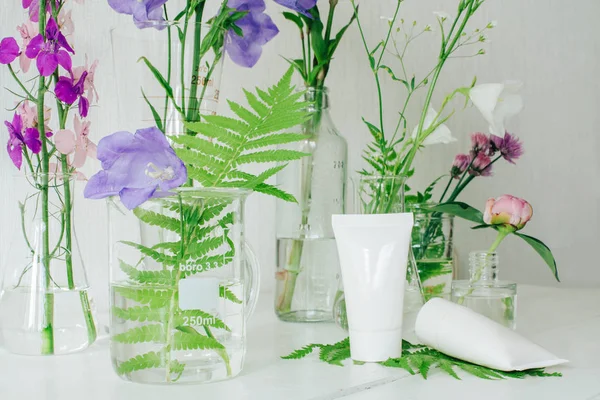 Doğal bitkisel kozmetik. Cilt için kremler. Alan çok renkli yaz çiçek.