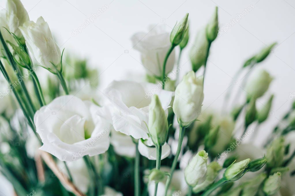 Bouquet of white eustom. Flowers close-up. Petals. White petals. Delicate flowers. Wedding flowers.