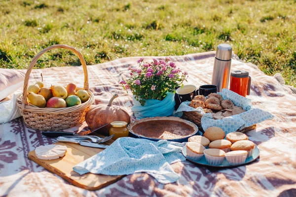 Parkta piknik. Ukraynalı gelenekleri. Ukrayna yemeği.