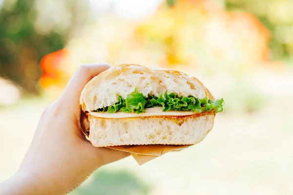 Fast food and diet. Hand holding the sandwich on picnic