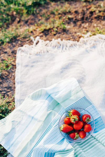 Chutné Jahody Míse Piknik Letní — Stock fotografie