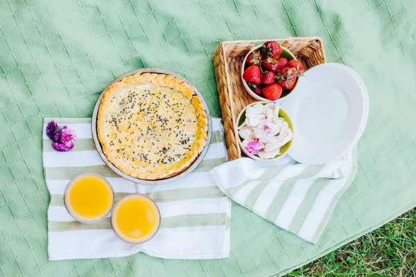Sabah parkta piknik. Lezzetli yemekler. Aperatifler ve meyve. Piknik sepeti. Hayat tarzları.