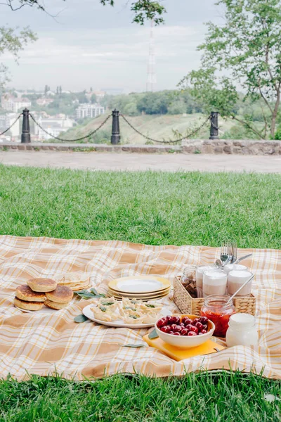Zdravé Stravování Dietní Snídaně Piknik Parku — Stock fotografie