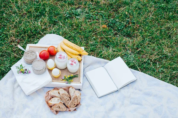 Morning picnic in the park. Tasty food. Snacks and fruits. Picnic basket. Lifestyles.