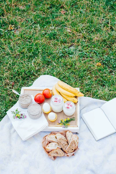 Ranní Piknik Parku Chutné Jídlo Občerstvení Ovoce Piknikový Koš Životní — Stock fotografie