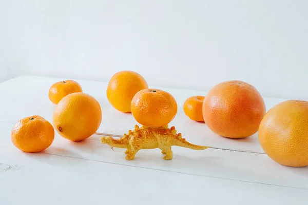 Citrus fruits isolated on white background. Isolated citrus fruits. Grapefruit, mandarin, orange isolated on white background. Dinosaur toys.