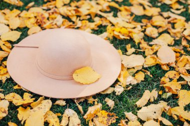 Sahilde sonbahar yapraklı şapka