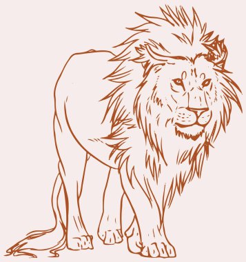 Erkek Aslanın Çizimi veya Çizimi Ayakta Duran Düzenlenebilir Vektör İllüstrasyonu