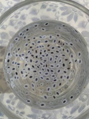 Chia tohumları su içer, ahşap arka planda. Bulanık doku arkaplanı ve Chia tohumlarının üst görünümü