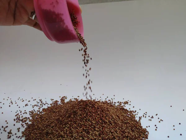 Dispersión Caída Raw Ragi Mano Cuenco Rosa Aislado Fondo Blanco — Foto de Stock