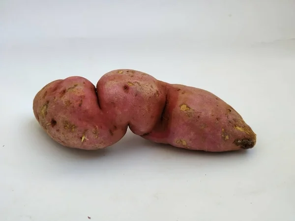 Zbliżenie Single Sweet Potato Izolowane Białym Tle — Zdjęcie stockowe