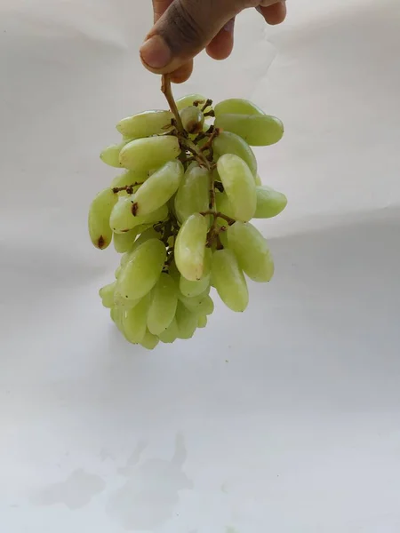 Sluiten Van Groene Druiven Bos Hand Geïsoleerd Witte Achtergrond — Stockfoto