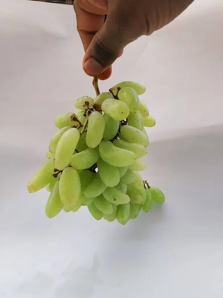 Gros Plan Grappe Raisins Verts Tenant Main Isolé Sur Fond — Photo