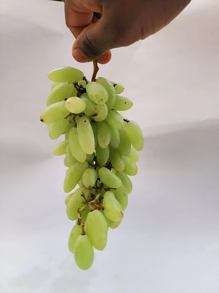 Sluiten Van Groene Druiven Bos Hand Geïsoleerd Witte Achtergrond — Stockfoto