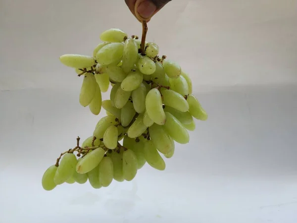 Sluiten Van Groene Druiven Bos Hand Geïsoleerd Witte Achtergrond — Stockfoto