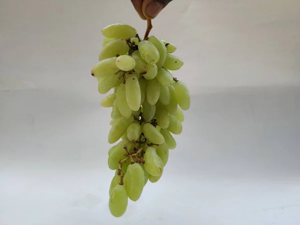 Sluiten Van Groene Druiven Bos Hand Geïsoleerd Witte Achtergrond — Stockfoto