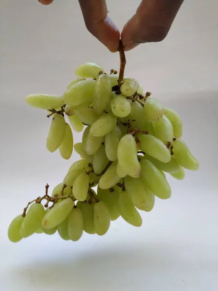 Sluiten Van Groene Druiven Bos Hand Geïsoleerd Witte Achtergrond — Stockfoto