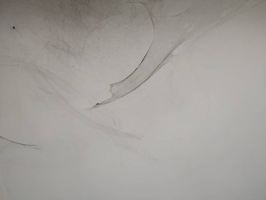 Örümcek ve Örümcek Ağı Eski Binanın Beyaz Duvarı 'nın köşesinde.