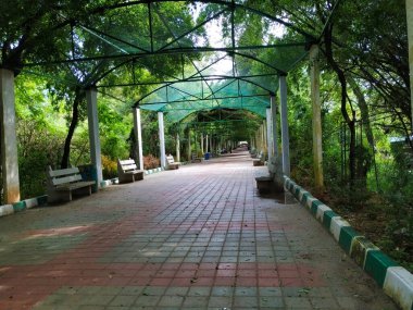 Mysore, Karnataka / Hindistan-31 Ekim 2019: Mysore Hayvanat Bahçesi 'nin güzel manzarası ve bitkileri