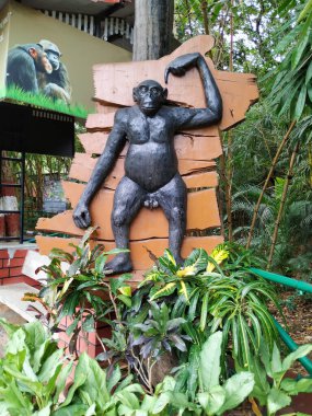 Mysore, Karnataka / Hindistan-31 Ekim 2019: Mysore Hayvanat Bahçesi 'nin Kabartmalı Şempanze Heykeli' nin Kapanışı