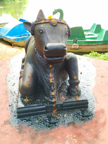 カルナータカ州マイソール インド 2019年10月31日 カランジ湖の近く マイソール動物園内の黒い色のナンディ像の閉鎖 — ストック写真