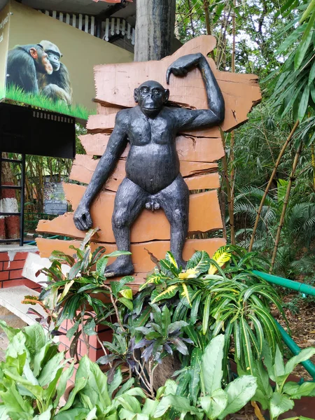 Mysore Karnataka India Oct 2019 Primer Plano Estatua Chimpanji Relieve — Foto de Stock