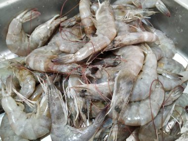 Bir gurup İndian Detaylı Çiğ Karides Dükkanında. Karides dokusu arkaplanının kapatılması