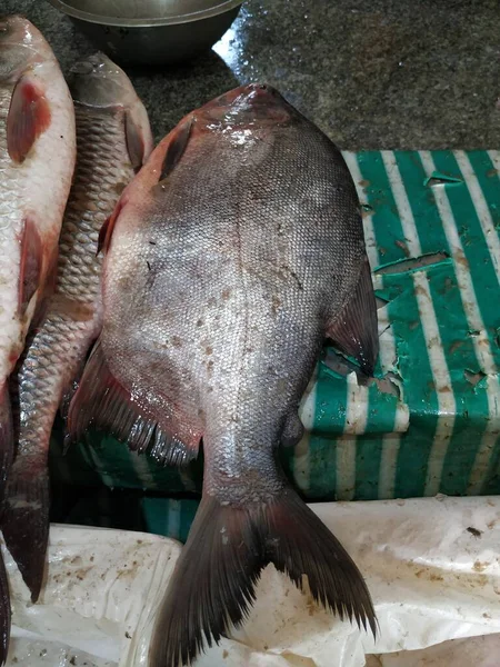 不同类型的印度本地名鱼在商店售卖的衣物 — 图库照片