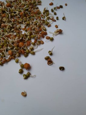 Beyaz arka planda izole edilmiş Hint Gıda Tohumu Yetiştirme Mutfağı ve Dokuları