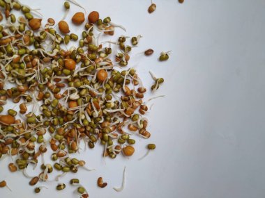 Beyaz arka planda izole edilmiş Hint Gıda Tohumu Yetiştirme Mutfağı ve Dokuları