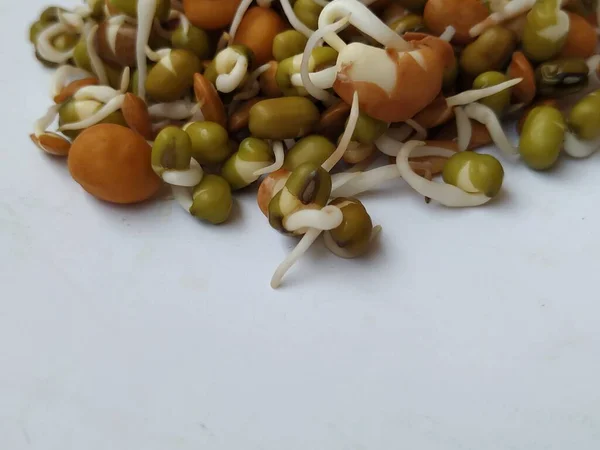 Closeup Indian Food Seed Raw Sprouts Cuisine Textures Isolated White — Stock Photo, Image