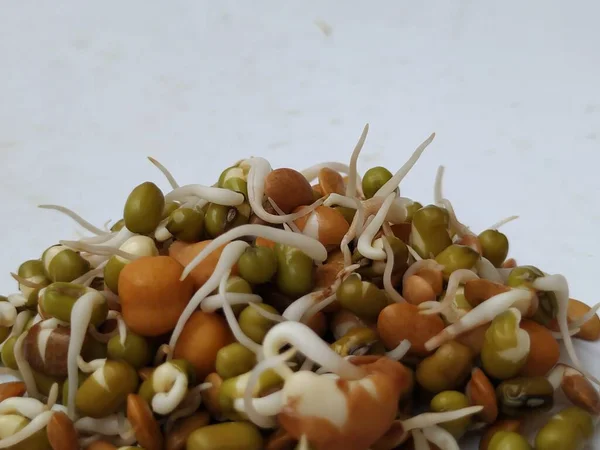 Closeup Indian Food Seed Raw Sprouts Cuisine Textures Isolated White — Stock Photo, Image