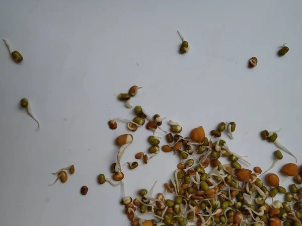Closeup Indiana Food Seed Raw Sprouts Cuisine Texturas Isoladas Sobre — Fotografia de Stock