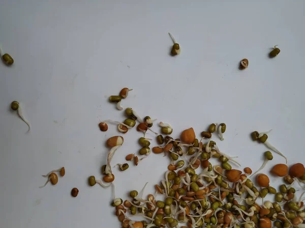 Closeup Indiana Food Seed Raw Sprouts Cuisine Texturas Isoladas Sobre — Fotografia de Stock