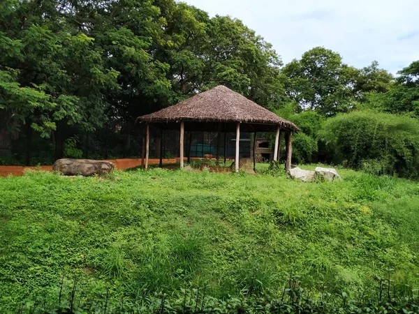 Mysore Karnataka Inde Oct 2020 Petite Cabane Herbe Intérieur Zoo — Photo