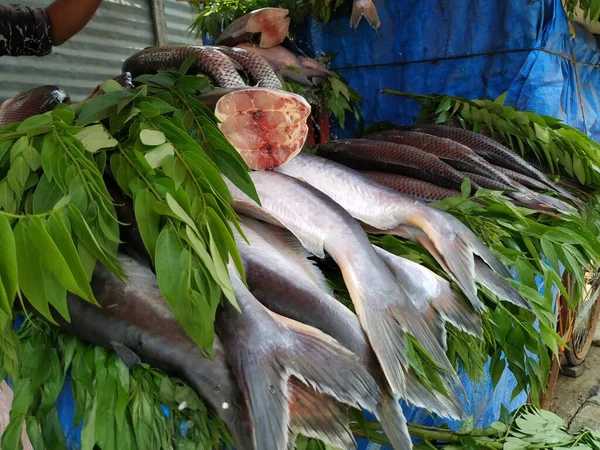Nahaufnahme Verschiedener Arten Südindischer Fische Die Einem Offenen Verkaufsstand Straßenrand — Stockfoto