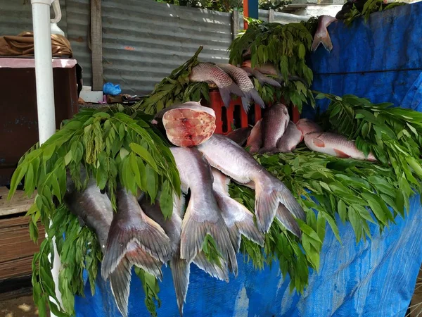 Closeup Different Types South Indian Fishes Selling Open Stall Roadside — Stock Photo, Image