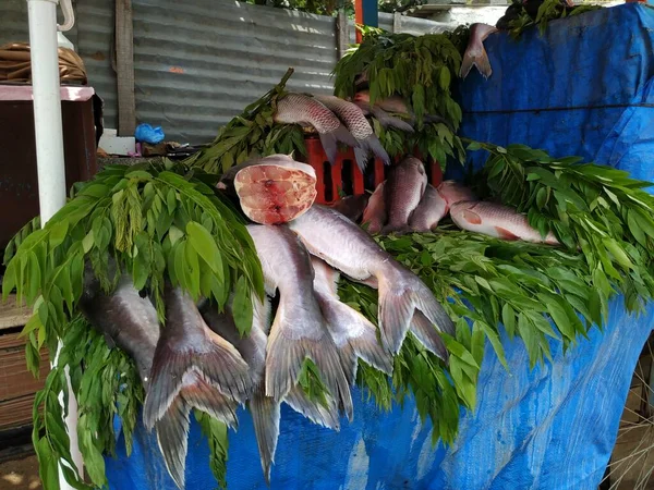 Closeup Different Types South Indian Fishes Selling Open Stall Roadside — Stock Photo, Image