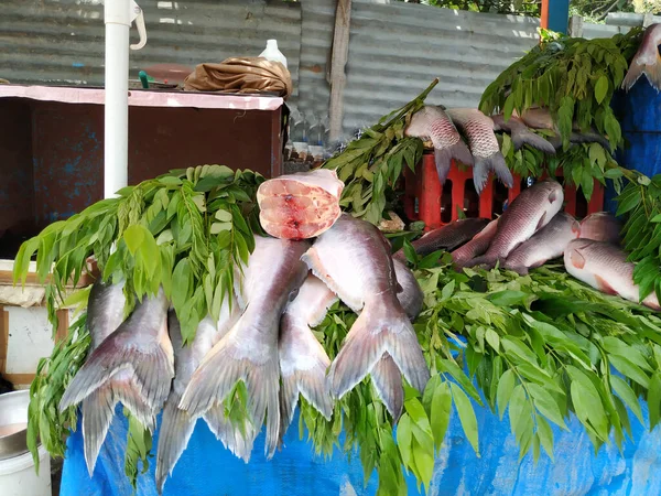 在露天摊位出售的不同类型的南印地安人鱼的排布 — 图库照片