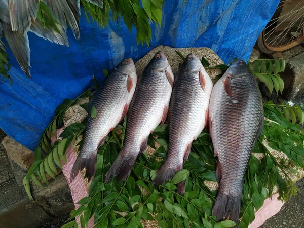 在露天摊位出售的不同类型的南印地安人鱼的排布 — 图库照片