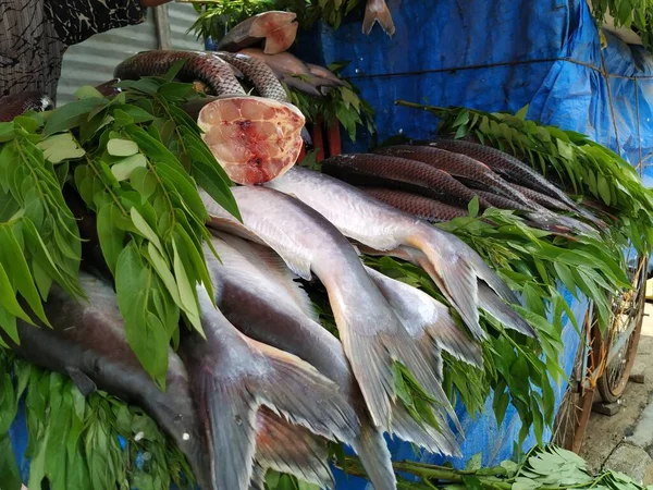 Closeup Different Types South Indian Fishes Selling Open Stall Roadside — Stock Photo, Image