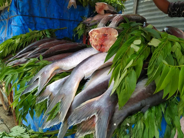 Крупный План Различных Видов Рыб Южной Индии Продающихся Открытом Киоске — стоковое фото