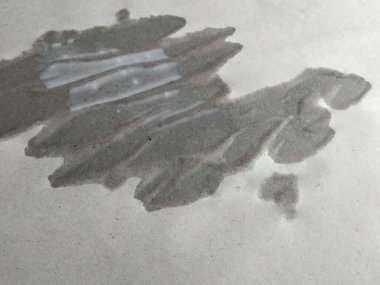 Sütün yakın plan görüntüsü yassılaştırılmış kağıdın üzerine düşer, ıslanır ve özümser soyut şekil oluşturur