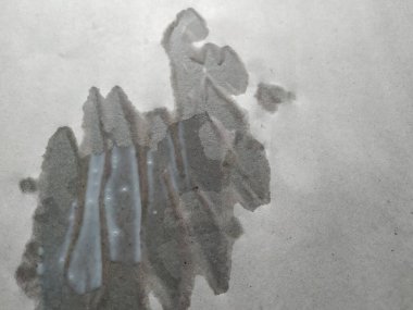 Sütün yakın plan görüntüsü yassılaştırılmış kağıdın üzerine düşer, ıslanır ve özümser soyut şekil oluşturur