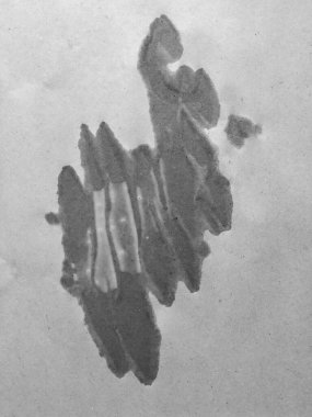 Sütün yakın plan görüntüsü yassılaştırılmış kağıdın üzerine düşer, ıslanır ve özümser soyut şekil oluşturur