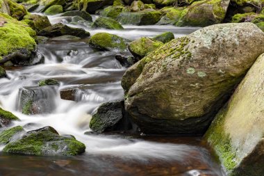 Şelale üzerinde dağ dere Milli Parkı Sumava-Çek Cumhuriyeti 