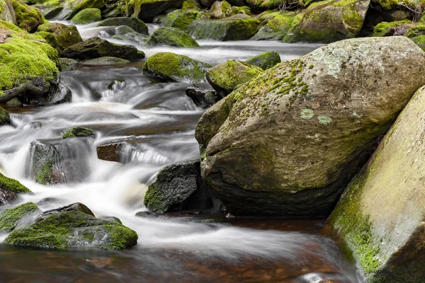 Şelale üzerinde dağ dere Milli Parkı Sumava-Çek Cumhuriyeti 