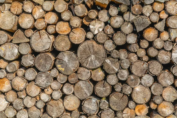 Stacked Chopped Wood Winter Construction Background — Stock Photo, Image