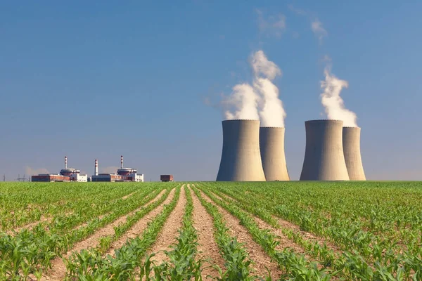 Central Nuclear Temelin Con Campo Maíz Verde República Checa — Foto de Stock